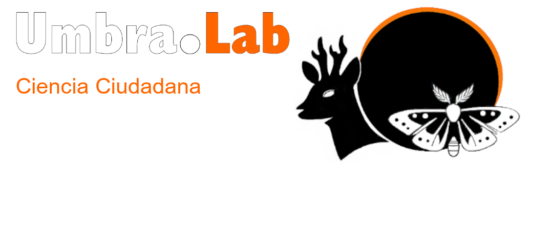Logo de inicio