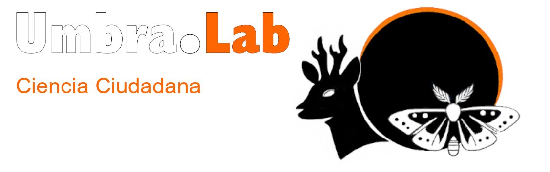 Logo de inicio